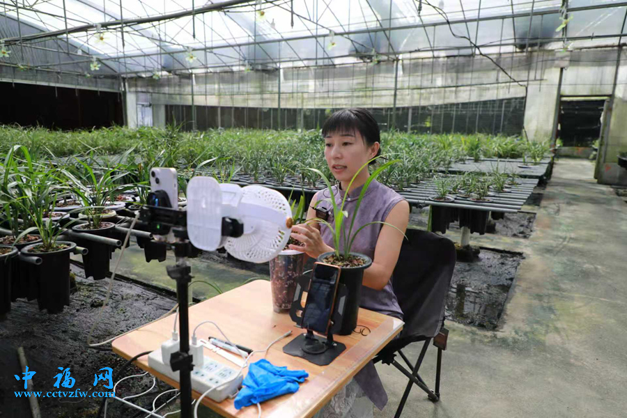 漳州南靖：“党建链”串联“产业链”  推动发展提质增效