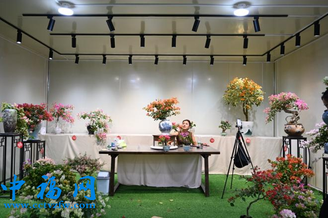 漳州芗城：美丽经济为乡村振兴锦上添“花”