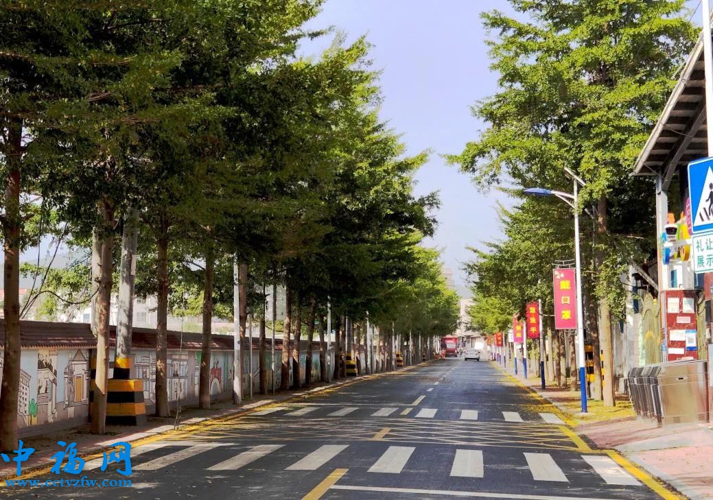 整洁干净的集美区后溪镇仑上村道路。集美区委乡村振兴办供图