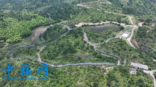 梅花山华南虎繁育野化训练基地