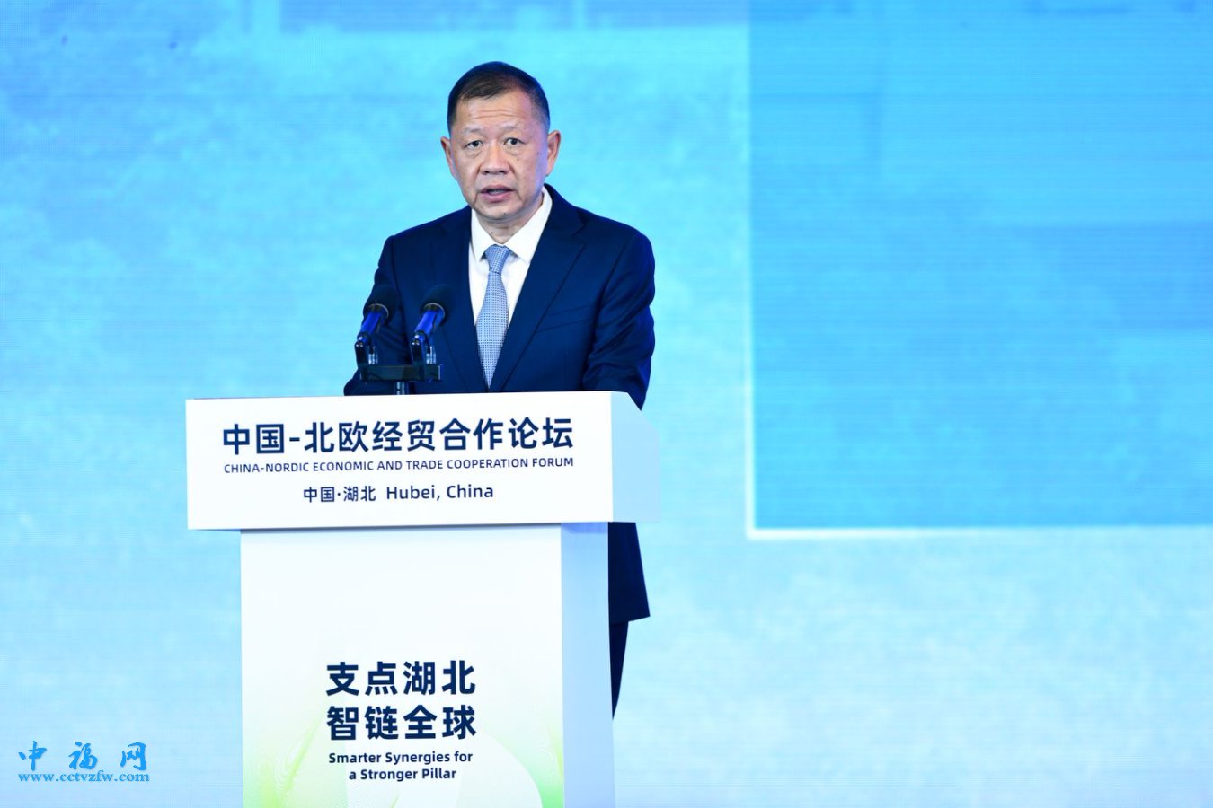 杨青：深化与北欧合作 发挥汽车产业规模创新优势