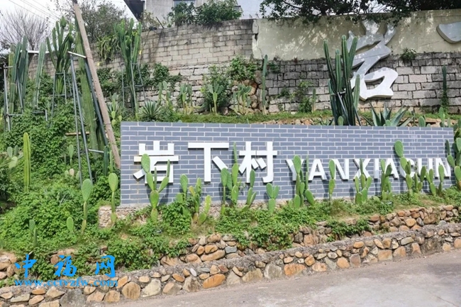 村道旁种着仙人掌