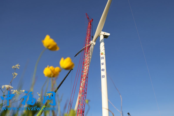 霍林河循环经济示范工程30万千瓦风电项目施工现场。受访者供图