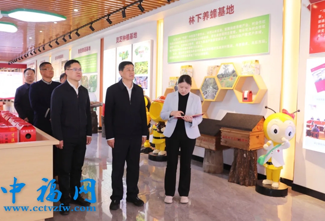 龙岩市委书记余红胜：推进上杭共同富裕试点县建设  形成可复制推广经验