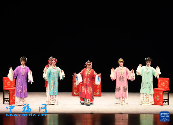 锡剧《珍珠塔》在奥地利上演