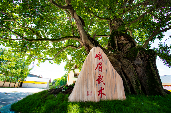 <span>峨眉武术学校</span>