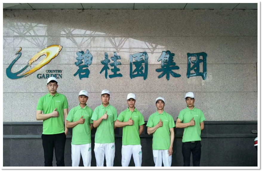 碧桂园集团除甲醛工程
