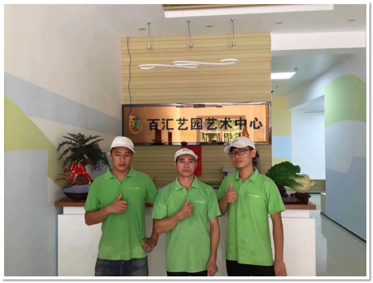 百汇艺园艺术中心室内除甲醛