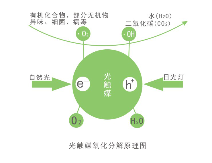 星帮尼光触媒