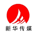 新华传媒