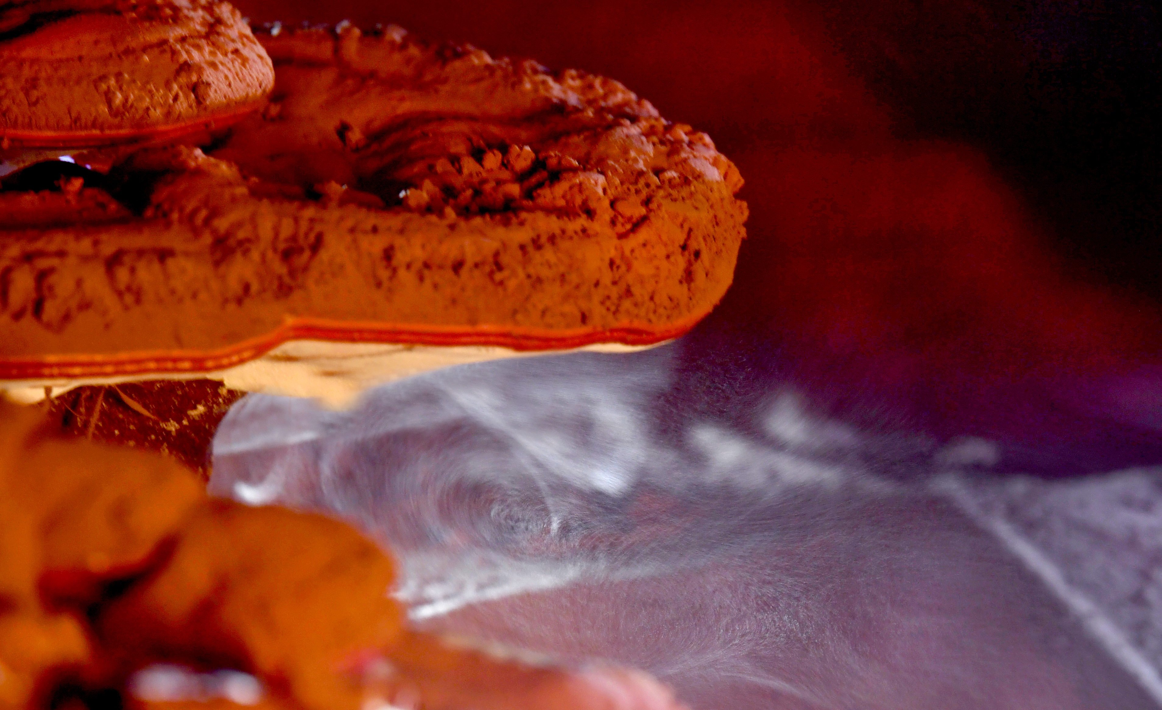 【幕后探秘】解密乔康破壁灵芝孢子粉的神奇诞生记！