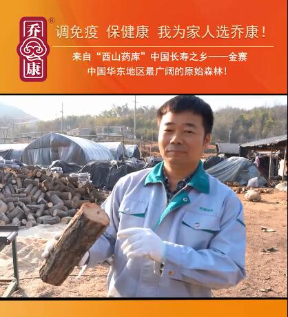 乔康灵芝溯源（六）