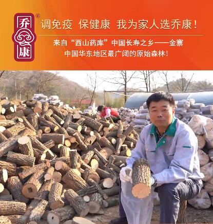 投稿 乔康灵芝溯源（七）