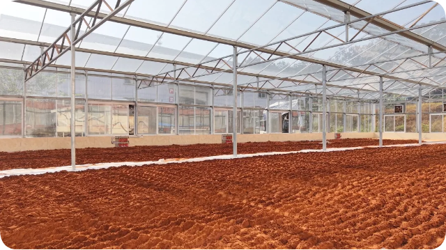 乔康药业解锁破壁孢子粉的自然力量