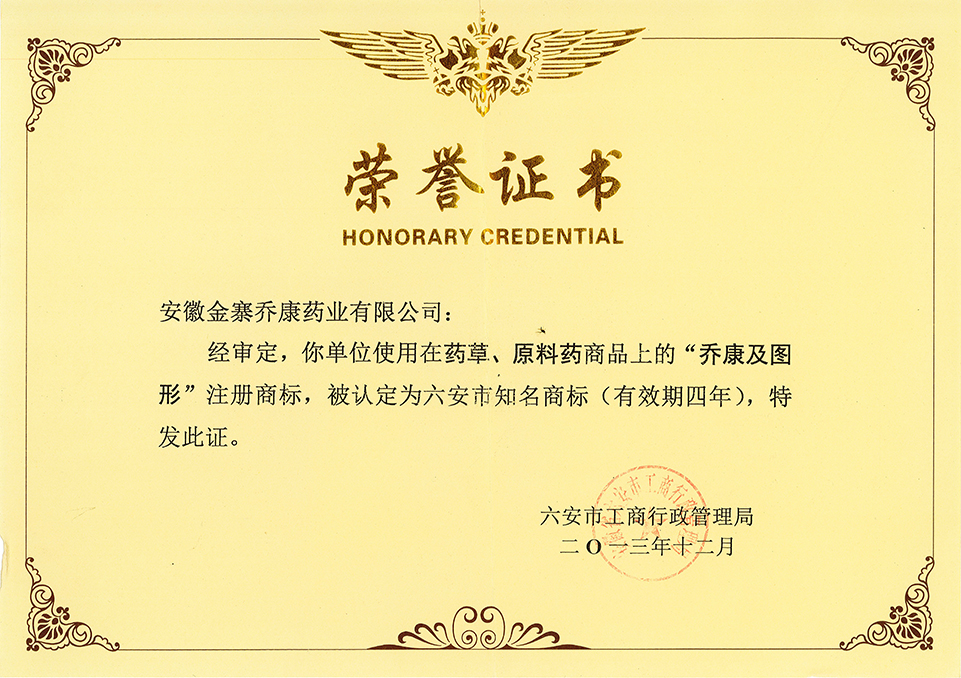 六安市知名企業(yè)