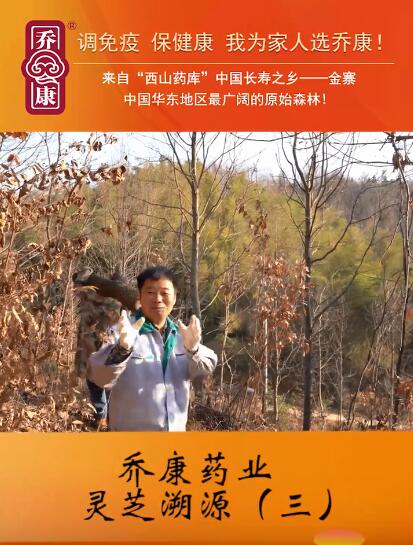 乔康灵芝溯源（三）