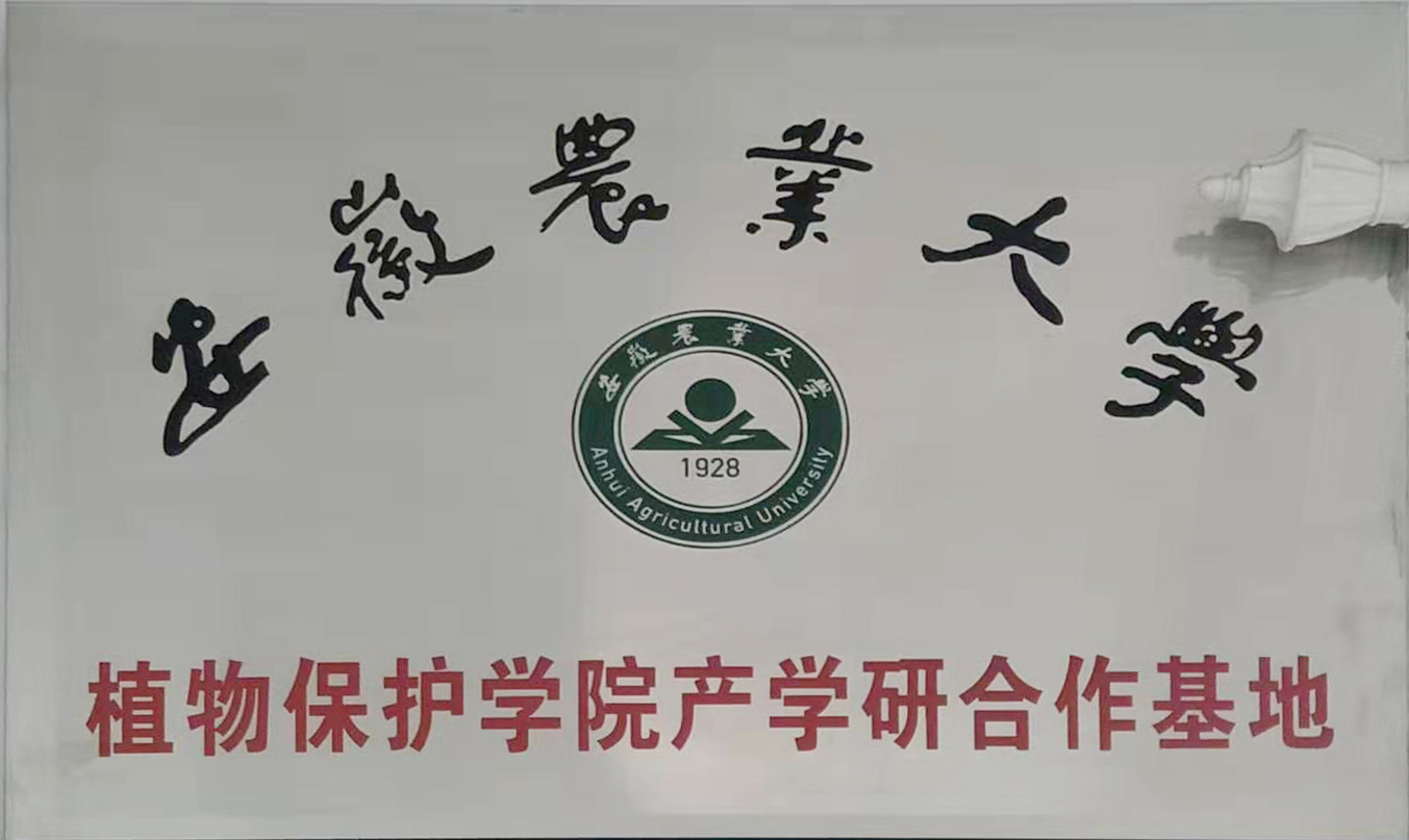 安徽農(nóng)業(yè)大學(xué)產(chǎn)學(xué)研合作基地