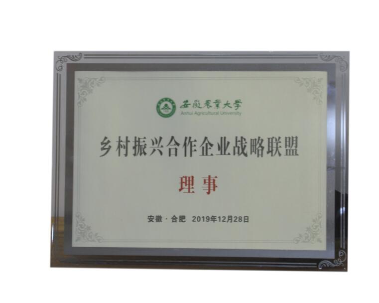 乡村振兴合作企业战略联盟（理事）