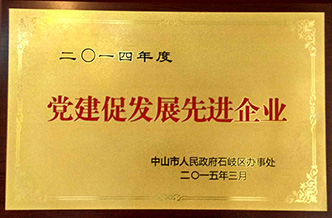 黨促進發(fā)展先進企業(yè)