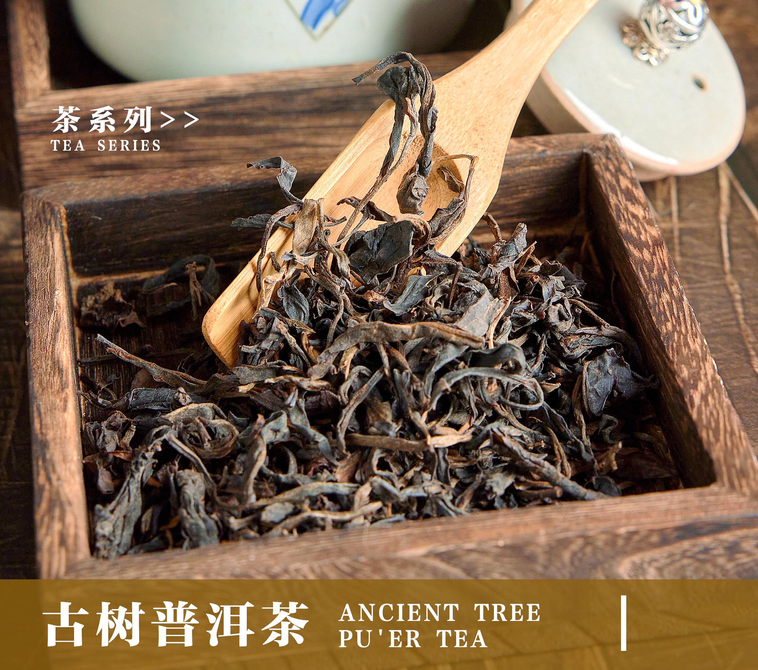 古樹(shù)普洱茶