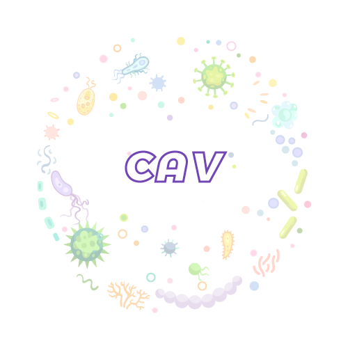 抗性基因 鸡贫血病毒（CAV）qPCR检测试剂盒