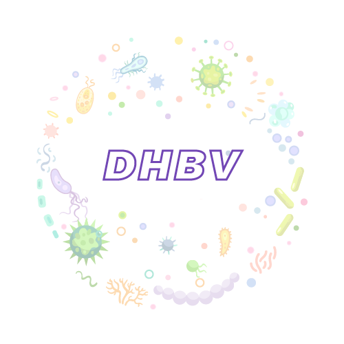抗性基因 鸭乙型肝炎病毒（DHBV）qPCR检测试剂盒