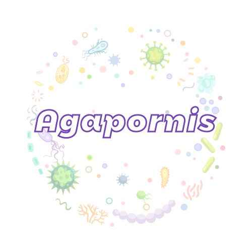 抗性基因 Lovebird (Agapornis) SexingqPCR检测试剂盒