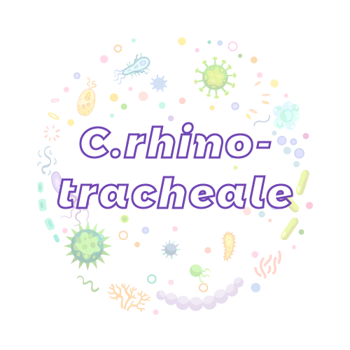 抗性基因 鼻气管鸟类杆菌（C.rhinotracheale）qPCR检测试剂盒