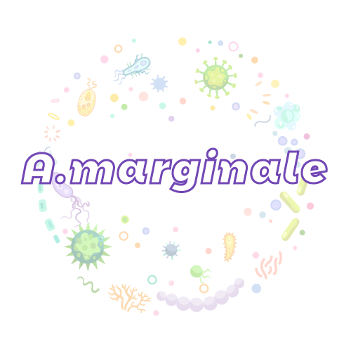 抗性基因 边缘无形体（A.marginale）qPCR检测试剂盒