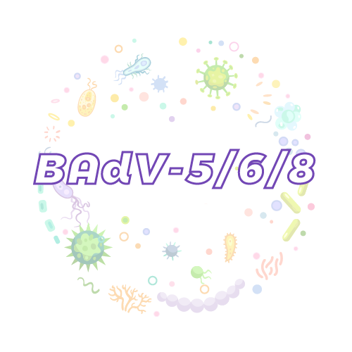 抗性基因 牛腺病毒 5/6/8 (BAdV-5/6/8)qPCR检测试剂盒