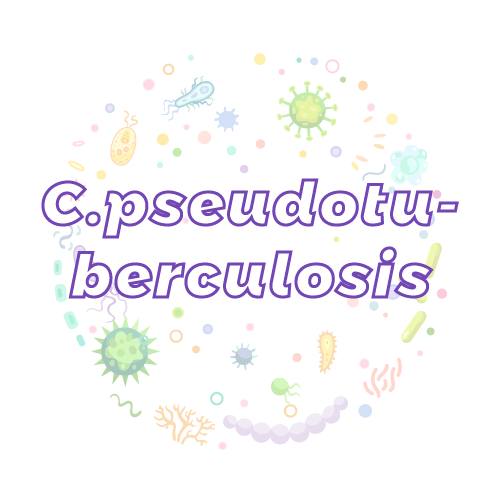抗性基因 假结核棒状杆菌（C.pseudotuberculosis）qPCR检测试剂盒