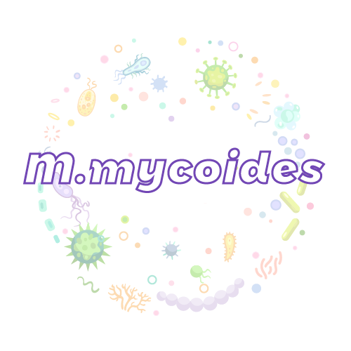 抗性基因 支原体mycoides簇（M.mycoides簇）qPCR检测试剂盒
