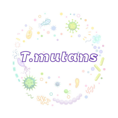 抗性基因 变形杆菌（T.mutans）qPCR检测试剂盒