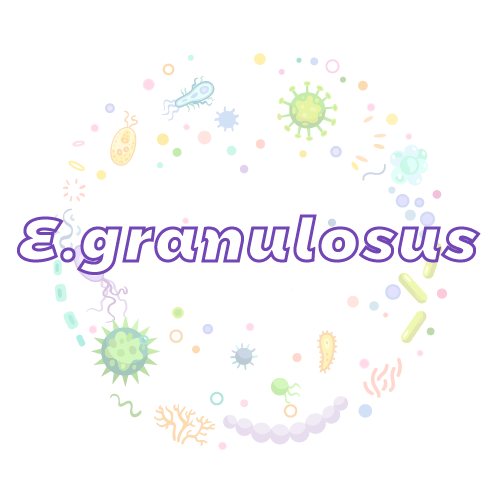抗性基因 细粒棘球绦虫（E.granulosus）qPCR检测试剂盒