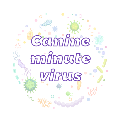 抗性基因 犬类微小病毒（Canine minute virus）（MVC）qPCR检测试剂盒