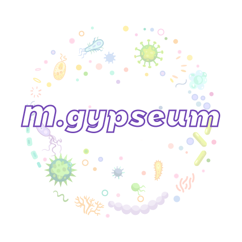 抗性基因 石膏小孢子菌（M.gypseum）qPCR检测试剂盒