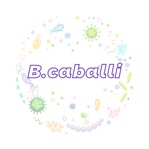 抗性基因 巴贝斯虫 (B.caballi)qPCR检测试剂盒