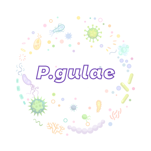 抗性基因 古拉卟啉单胞菌（P.gulae） qPCR检测试剂盒