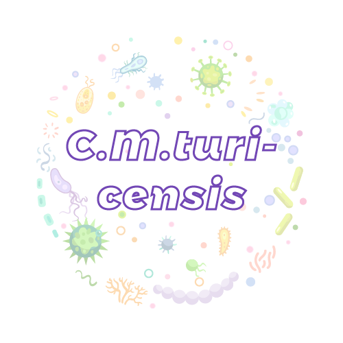 抗性基因 土耳其支原体（C.M.turicensis）qPCR检测试剂盒