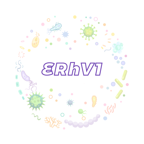 抗性基因 马鼻病毒 1 型 (ERhV1)qPCR检测试剂盒