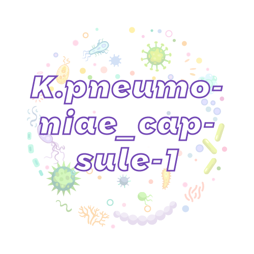 抗性基因 肺炎克雷伯菌胶囊 1 型 (K.pneumoniae_capsule-1)qPCR检测试剂盒