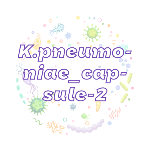 抗性基因 肺炎克雷伯菌胶囊 2 型 (K.pneumoniae_capsule-2)qPCR检测试剂盒
