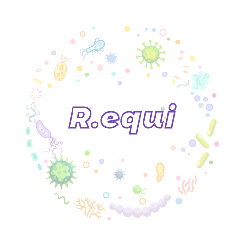 抗性基因 马红球菌 (R.equi)qPCR检测试剂盒