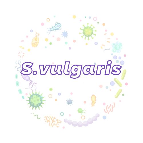 抗性基因 普通圆线虫（S.vulgaris）qPCR检测试剂盒