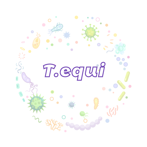 抗性基因 泰勒虫 (T.equi)qPCR检测试剂盒