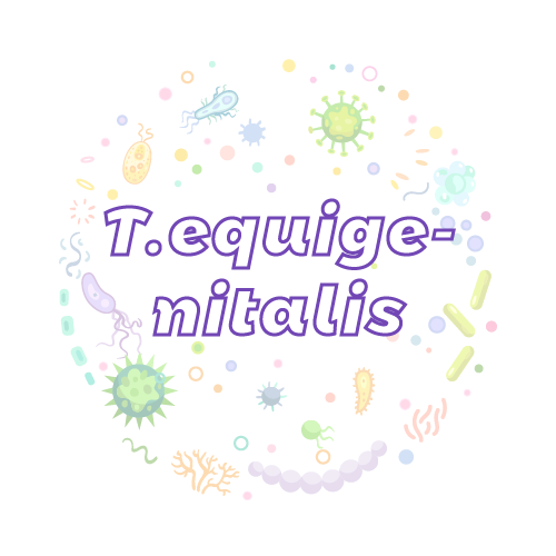 抗性基因 Taylorella equigenitalis (T.equigenitalis) (CEMO)qPCR检测试剂盒