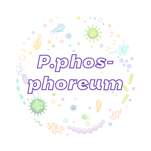 抗性基因 磷光杆菌（P.phosphoreum）qPCR检测试剂盒