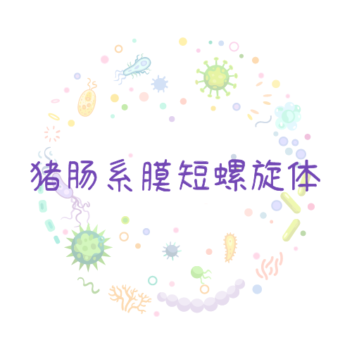 抗性基因 猪肠系膜短螺旋体（猪肠系膜短螺旋体）qPCR检测试剂盒