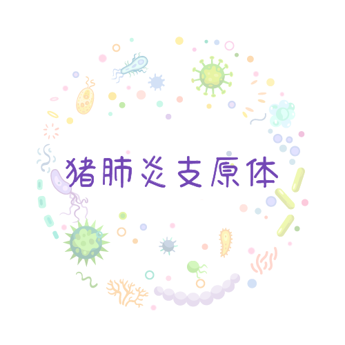 抗性基因 猪肺炎支原体（猪肺炎支原体）qPCR检测试剂盒