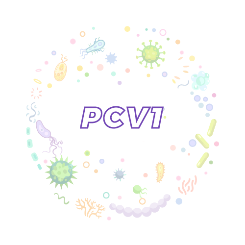 抗性基因 猪圆环病毒1（PCV1）qPCR检测试剂盒